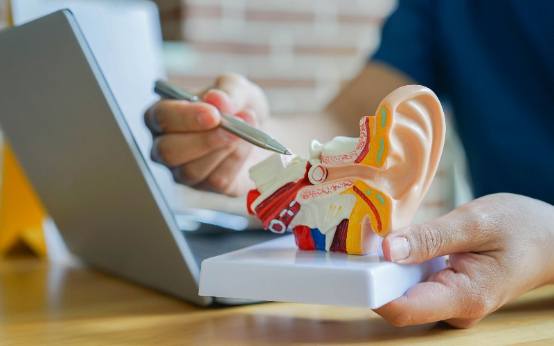 Oto-Rhino-Laryngologue