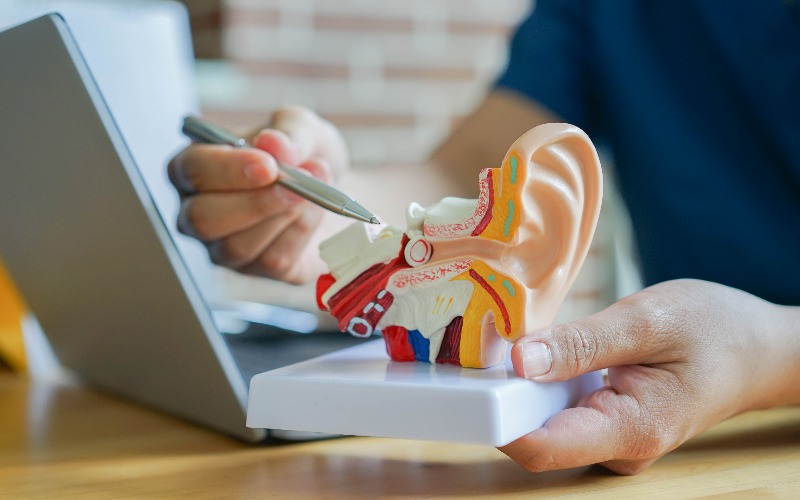 Oto-Rhino-Laryngologie